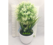 濟(jì)南盆景產(chǎn)品庫 奇石盆景的價(jià)格、圖片與廠家指南